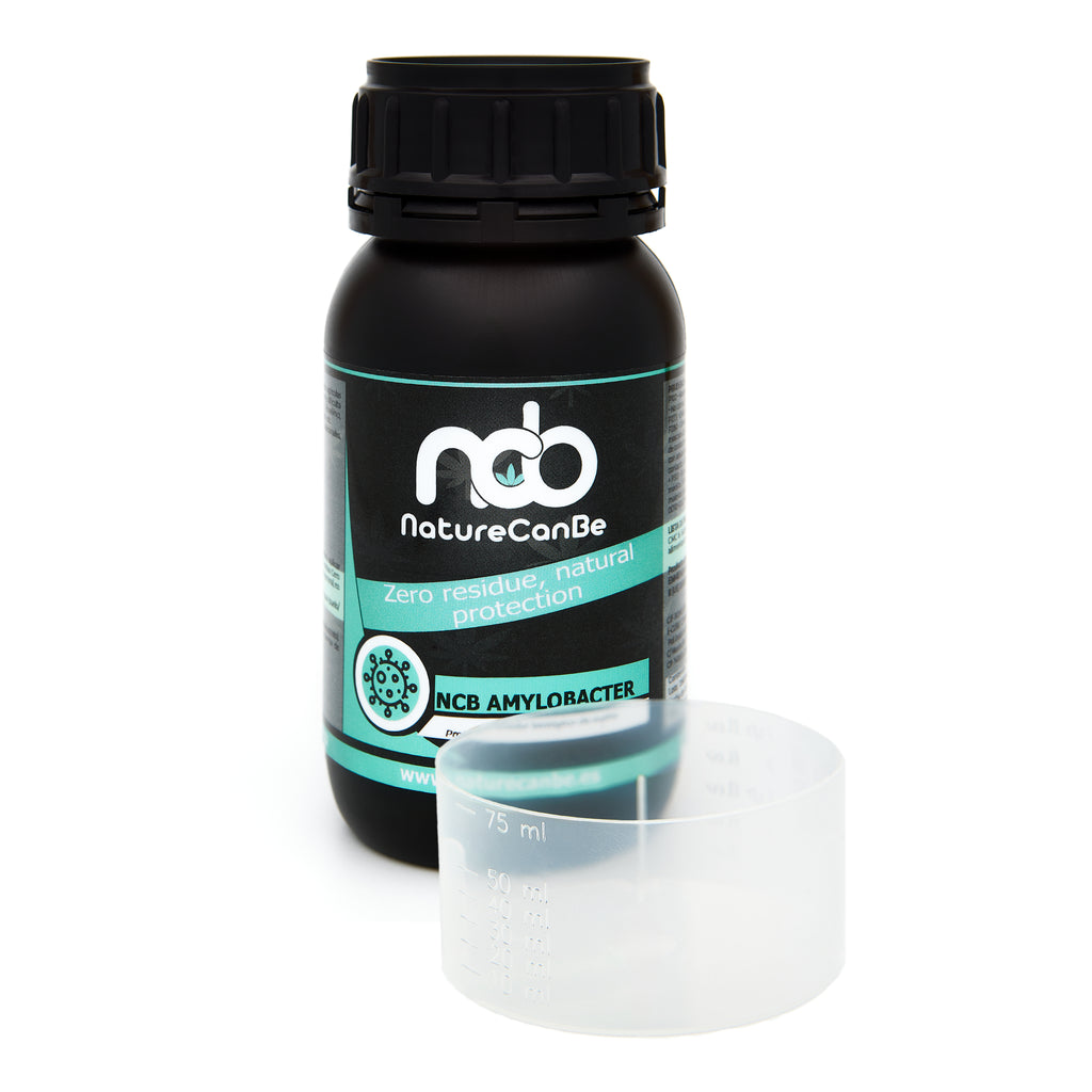 Bote negro de 250 mililitros NCB AMYLOBACTER - fungicida orgánico marca NatureCanBe – producto fungicida – etiqueta azul clarito