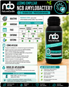 NCB AMYLOBACTER