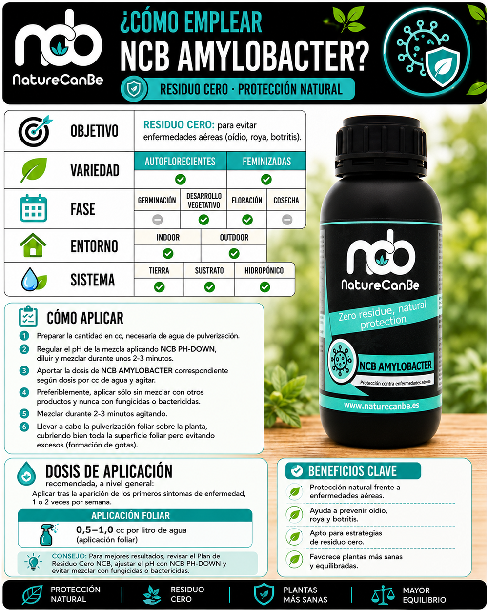 NCB AMYLOBACTER