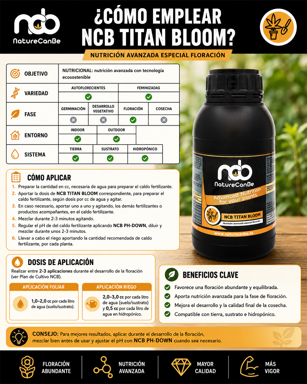 NCB TITAN-BLOOM