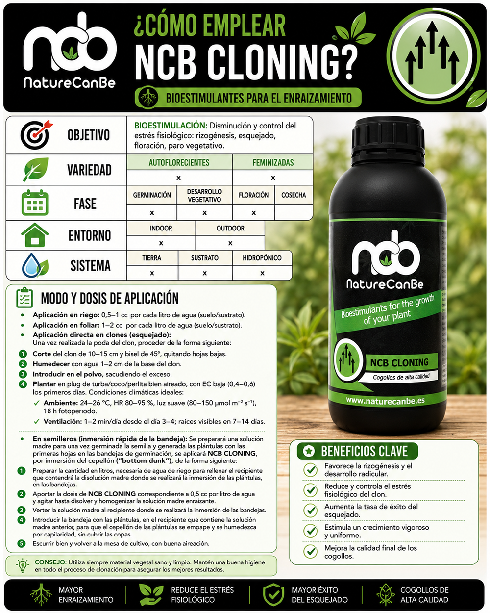 NCB CLONING