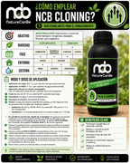 NCB CLONING