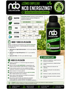 NCB ENERGIZING