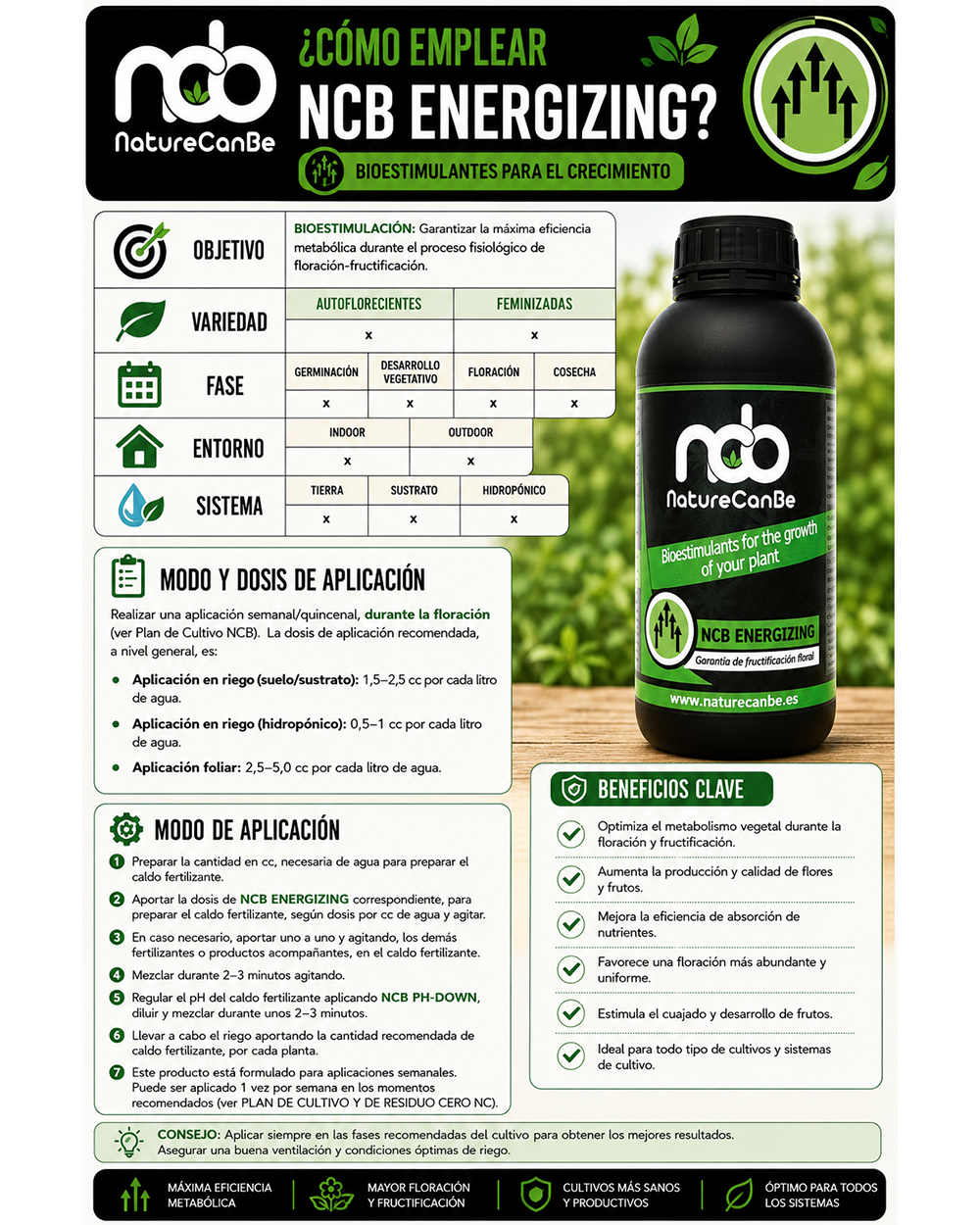 NCB ENERGIZING