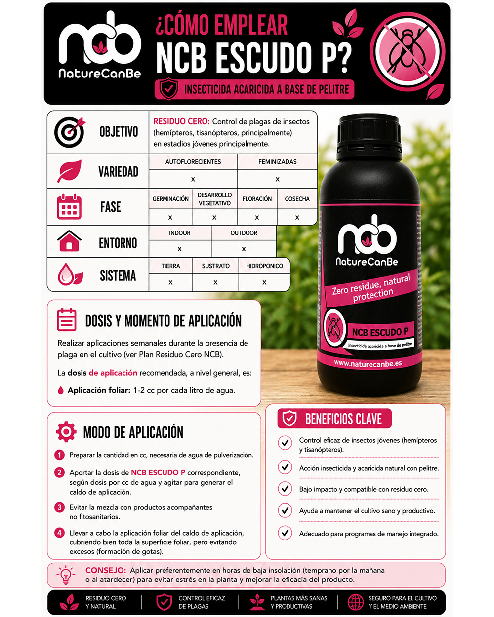 NCB ESCUDO P