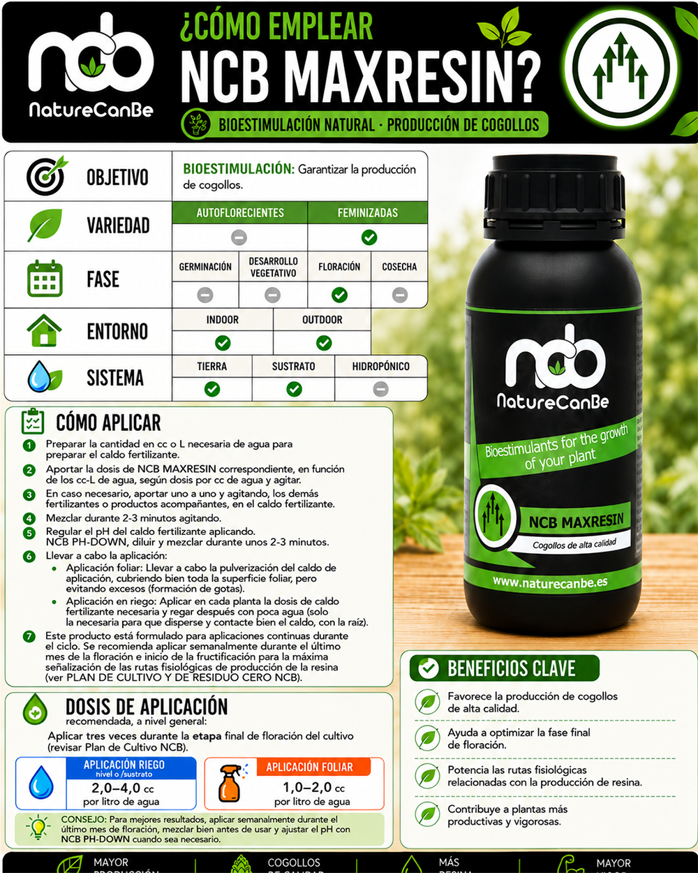 NCB MAXRESIN