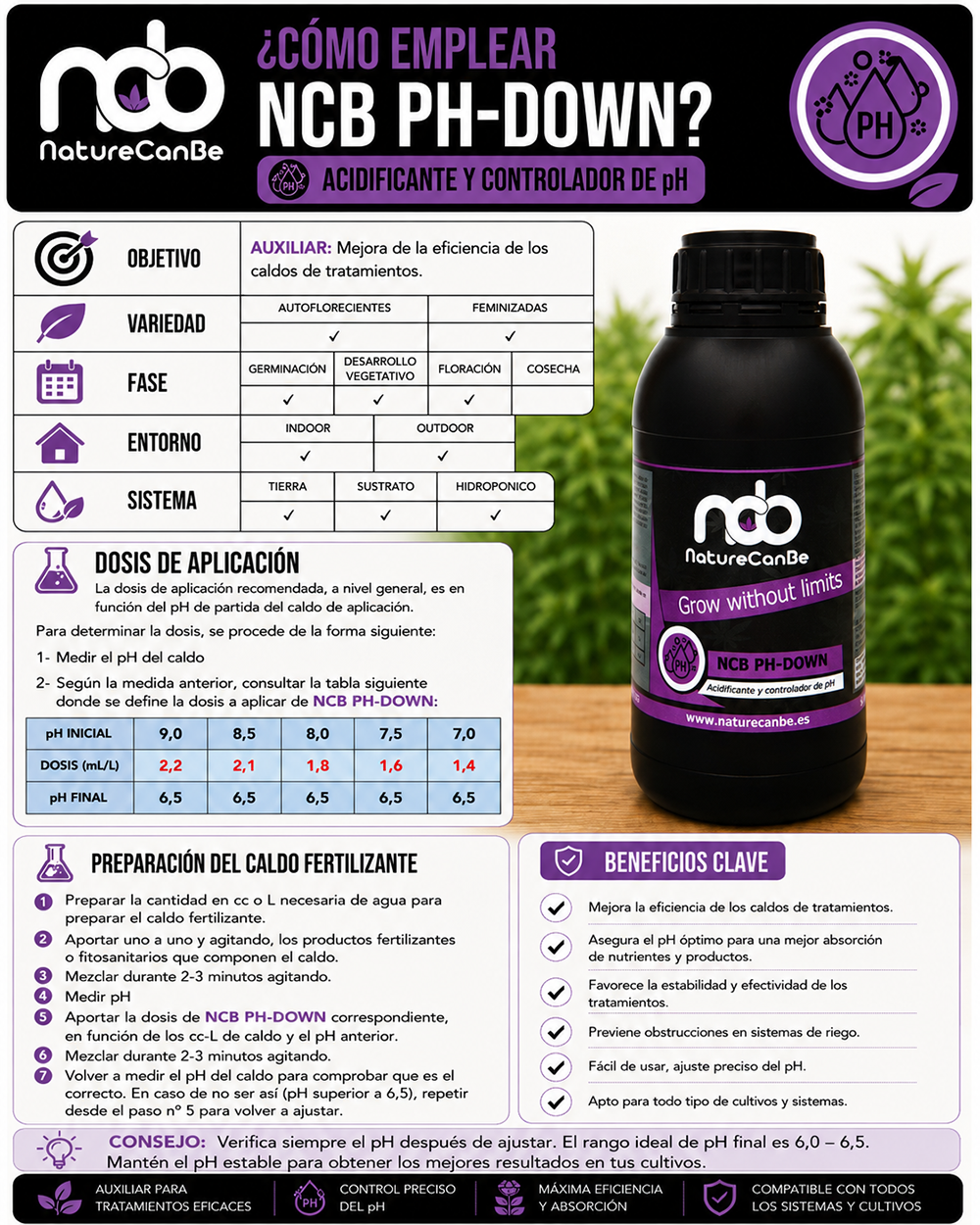 NCB PH-DOWN