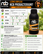 NCB PROBACTERIUM