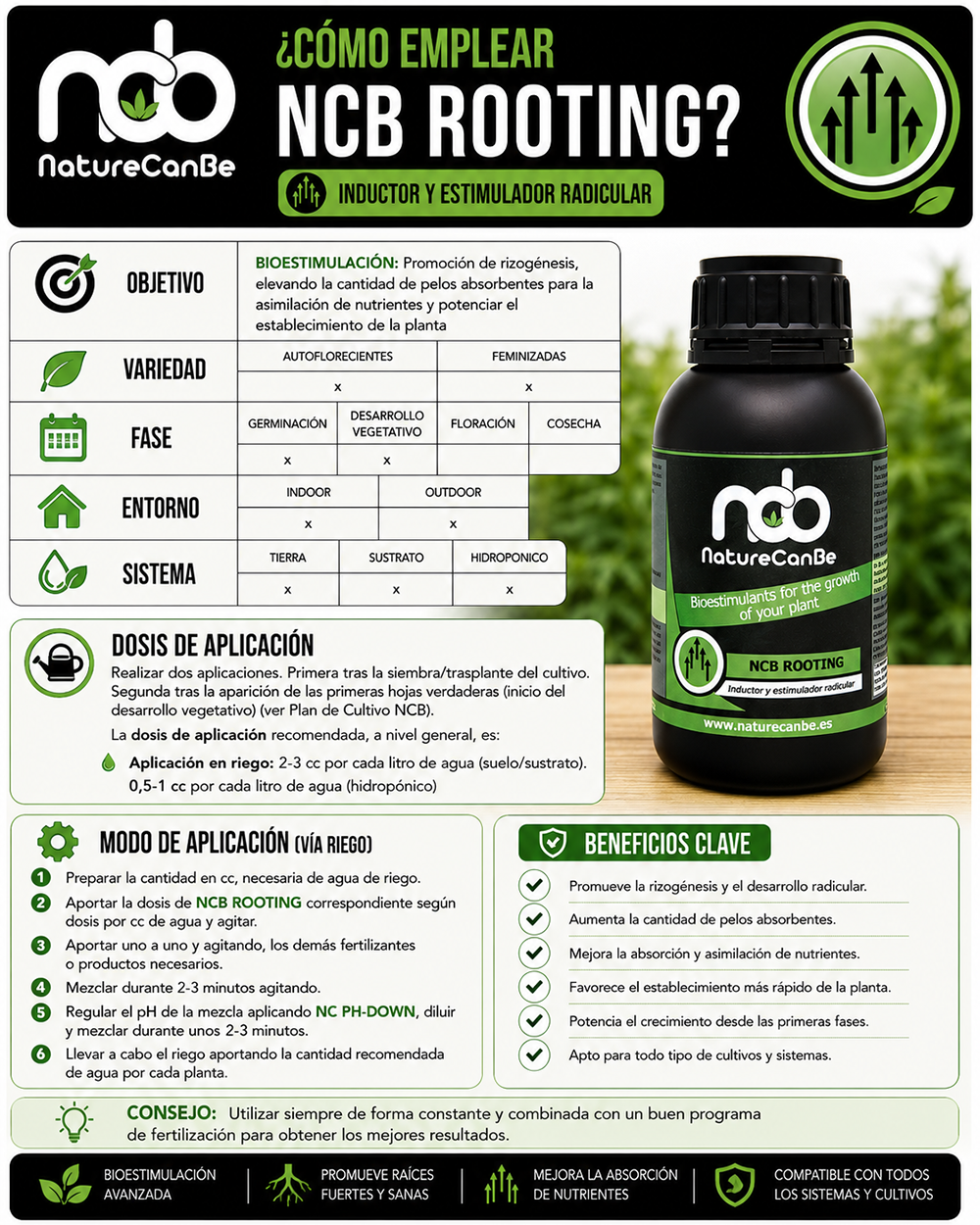 NCB ROOTING